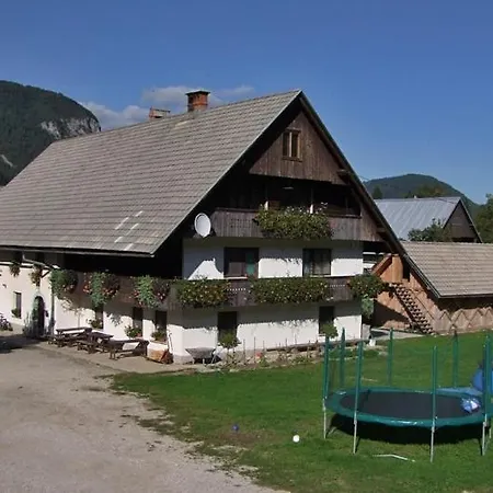 Soklic Apartment Bohinj