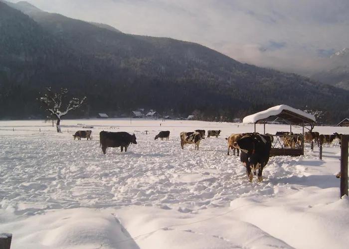 Appartement Soklic *