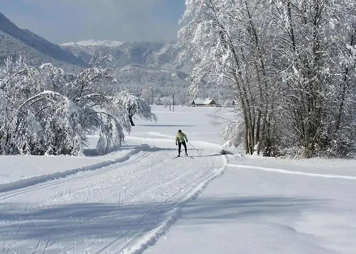 Apartamento Soklic *